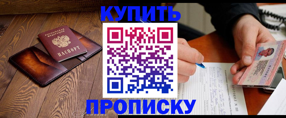 прописка 2025 в Звенигово